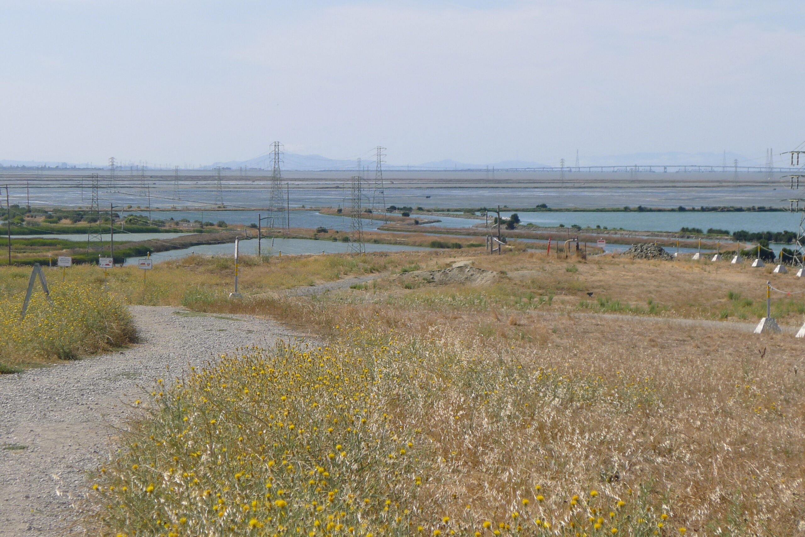 wetland