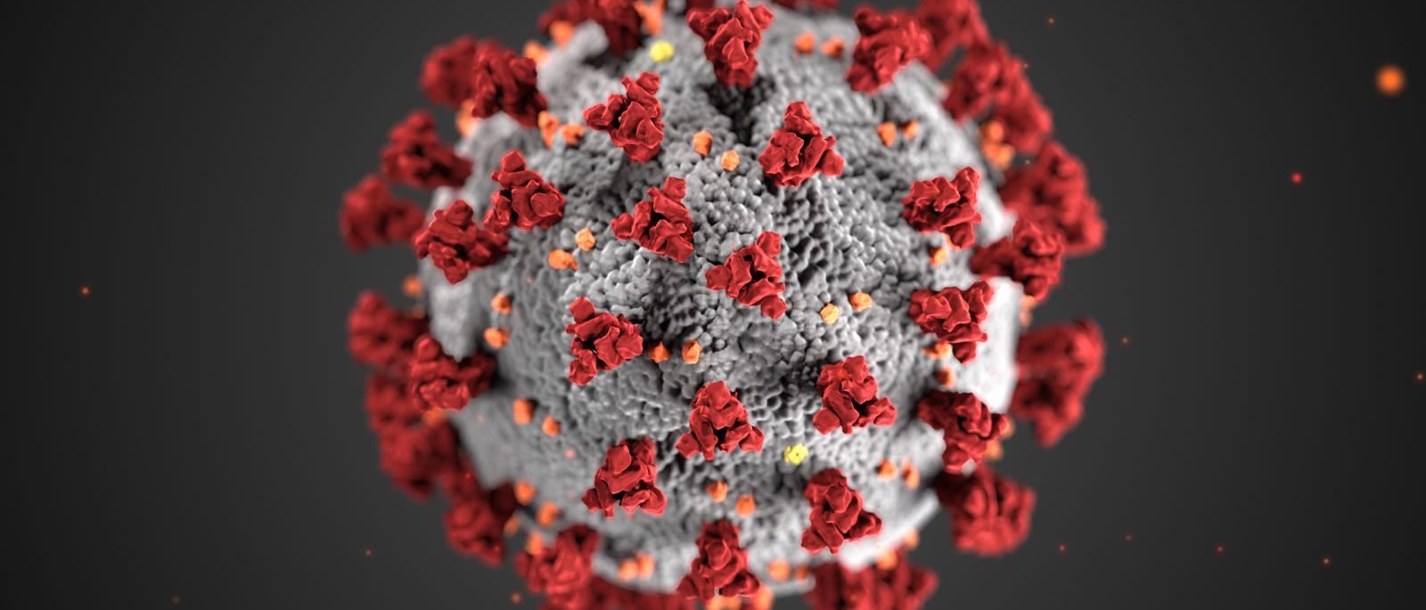 Covid virus image