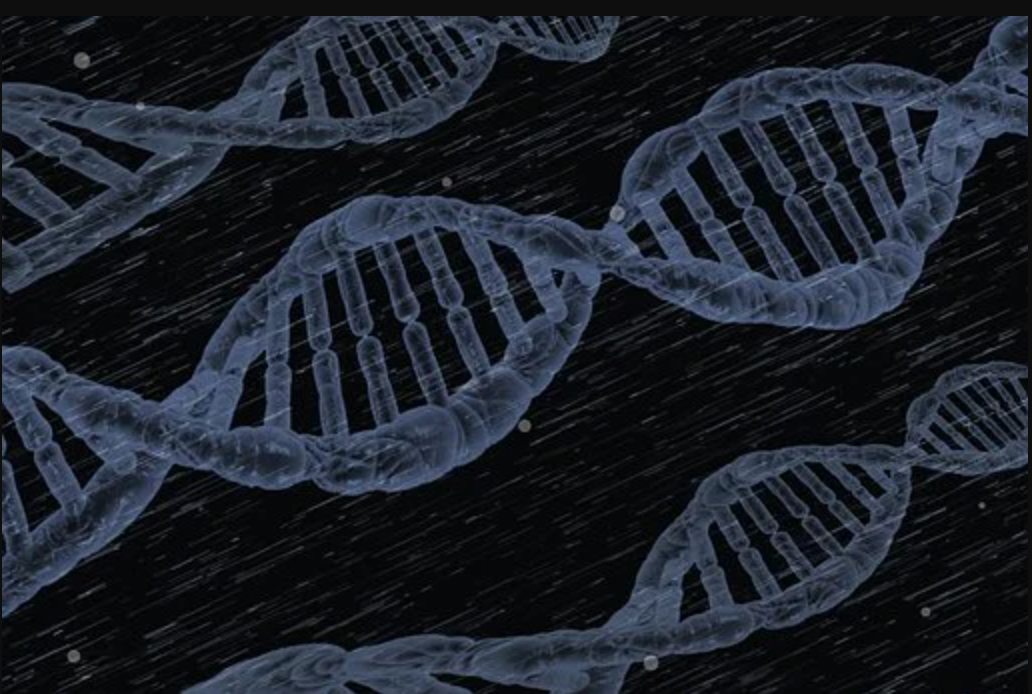 DNA Double Helix