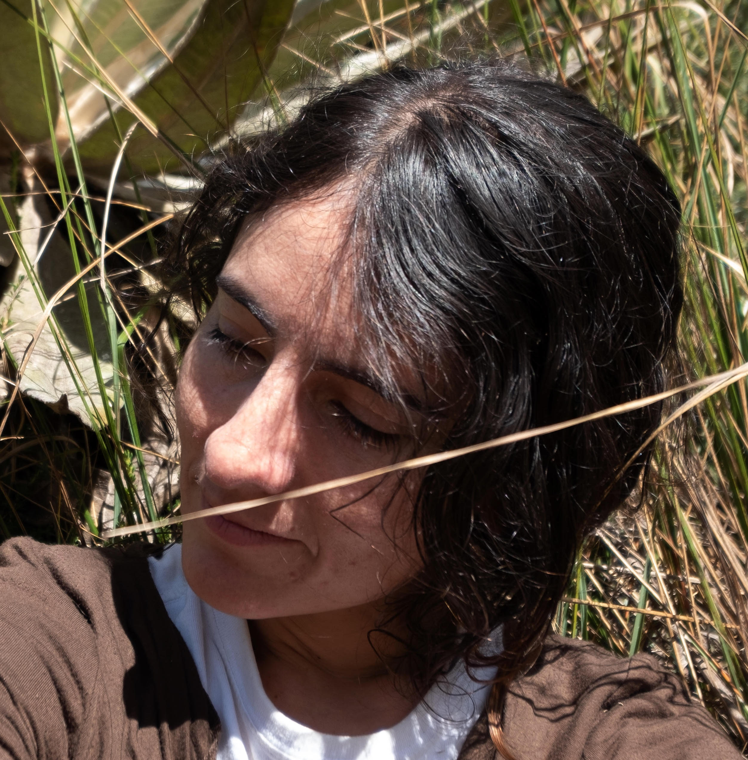 Peñaranda Currie