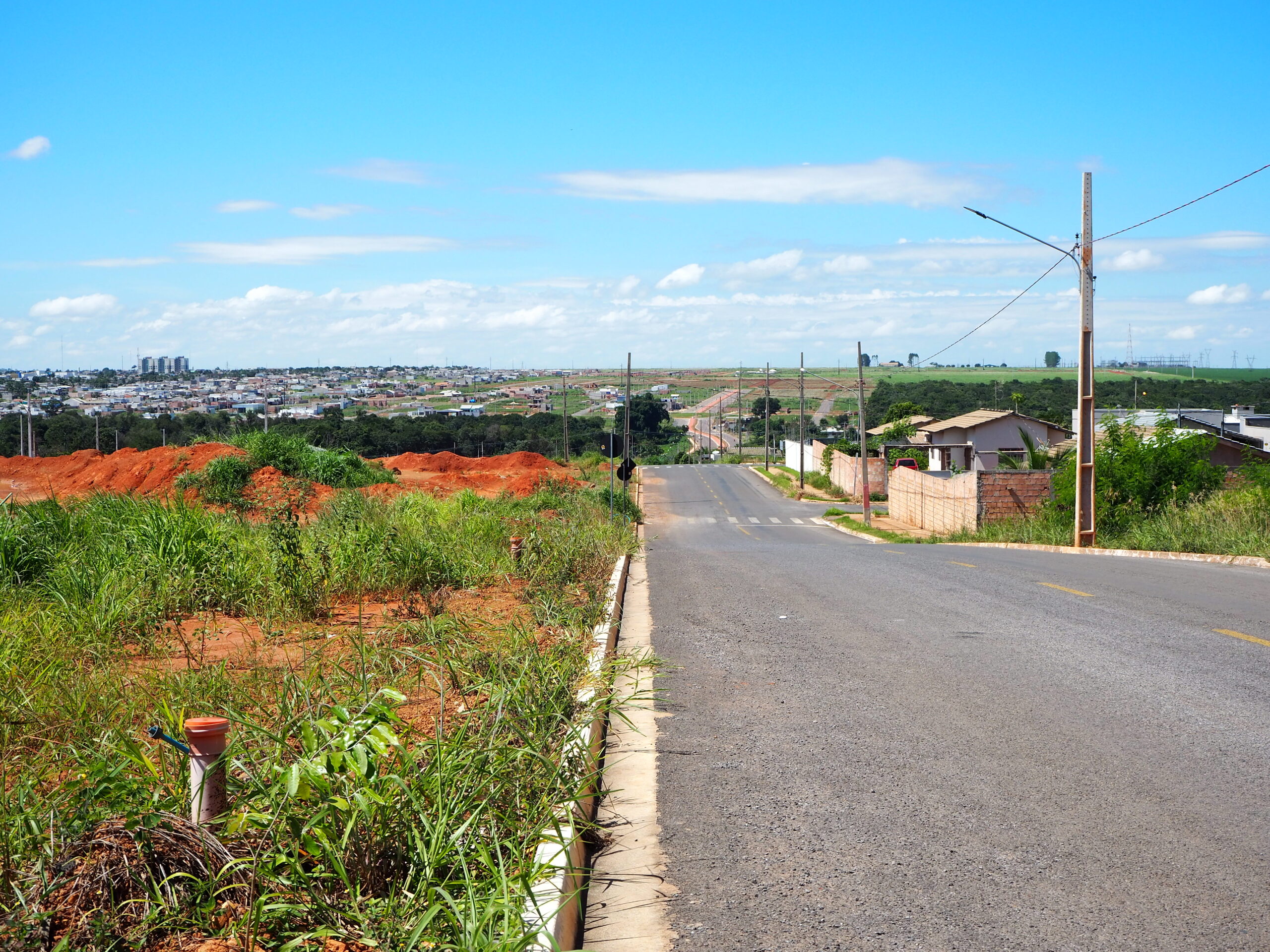 Soybean Cities