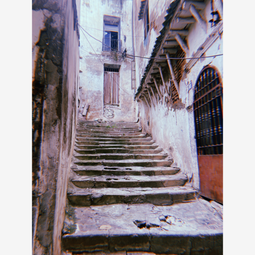 decorative photo of steps